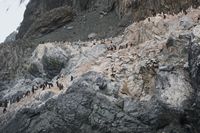
DSC00180